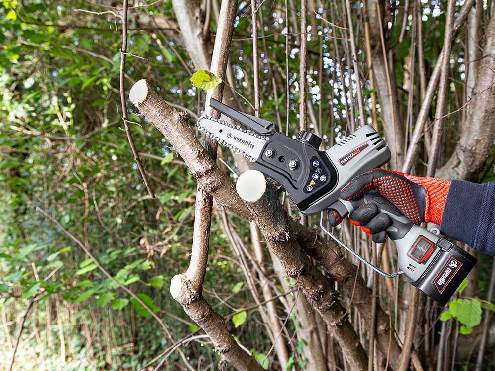 Ausonia Nativa Saw — Élagueuse à batterie 24V, 3 batteries