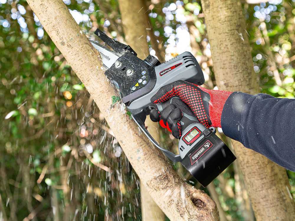 Ausonia Nativa Saw — Élagueuse à batterie 24V, 3 batteries
