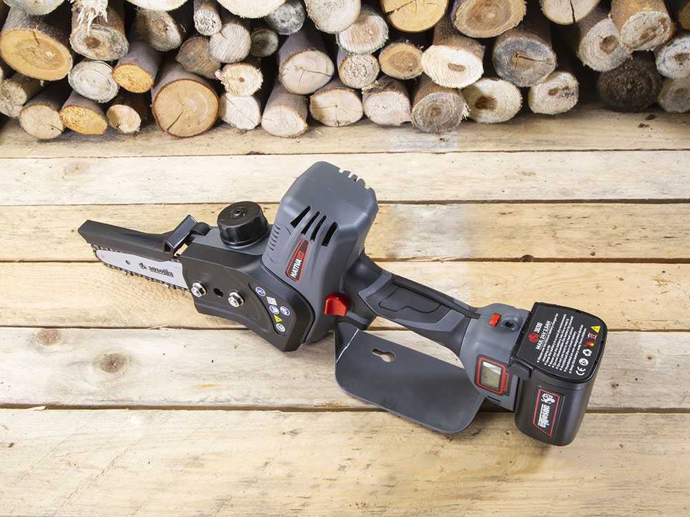Ausonia Nativa Saw — Élagueuse à batterie 24V, 3 batteries