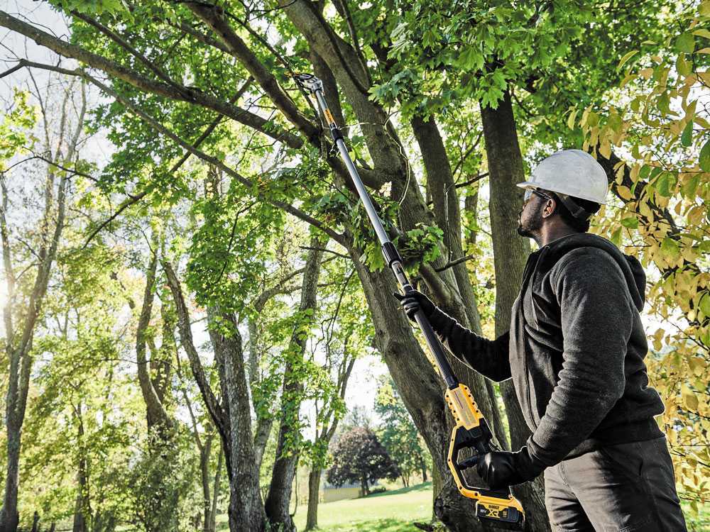 DeWalt DCMPS567P1-QW — Perche élagueuse à batterie 18V rallongeable