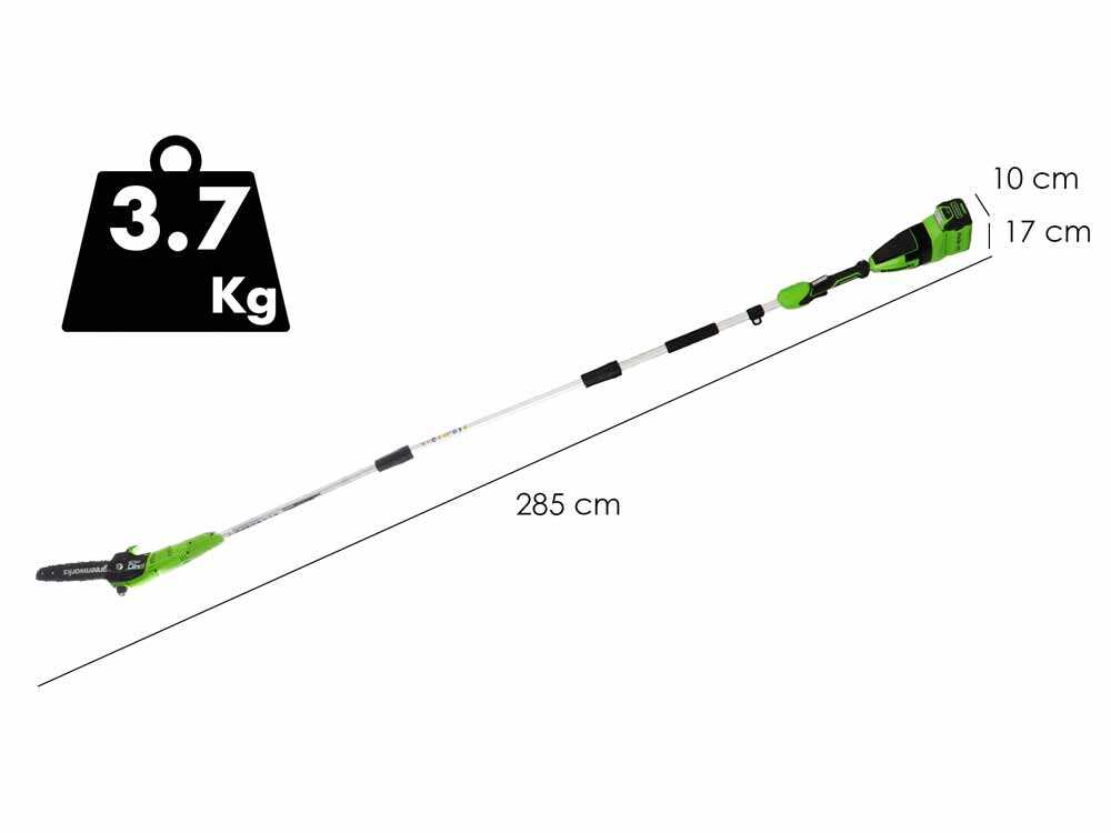 Greenworks GD40PSHK2 — Élagueuse et taille-haie sur perche 40V