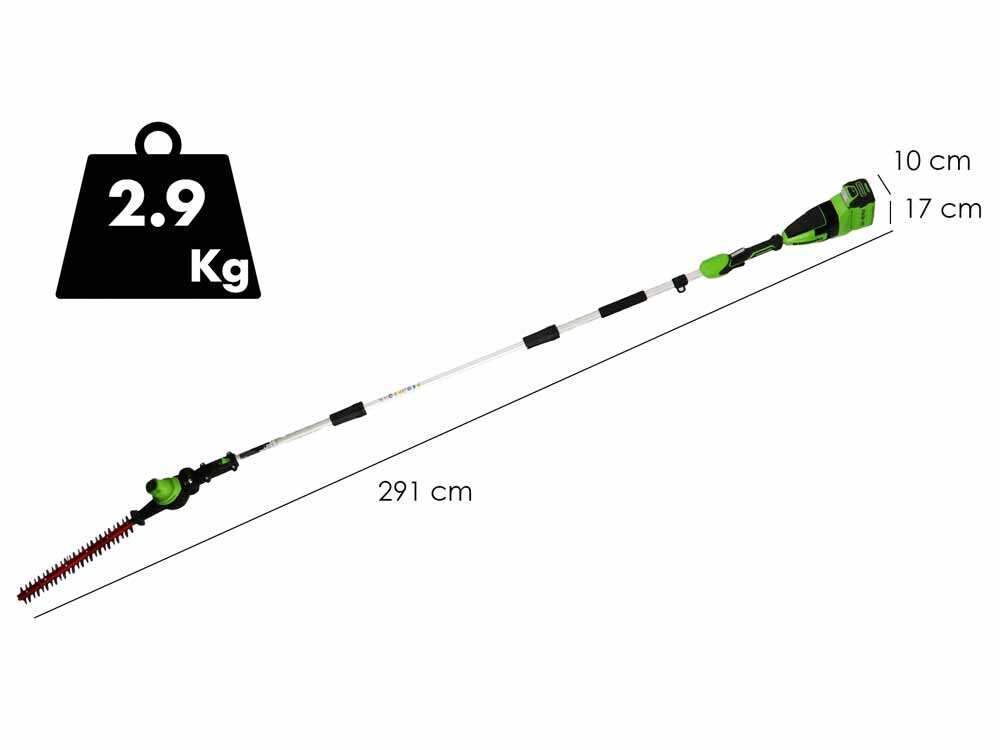 Greenworks GD40PSHK2 — Élagueuse et taille-haie sur perche 40V